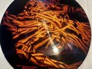 The Jesus Lizard - GOAT vinyl LP Picture Disk (1991 - Touch & Go)