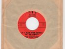 R&B/DooWop GOLDTONES If I Had the Wings of An Angel/I'm So Lonely Y-R-S HEAR