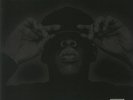 JAY Z - The Black Album - Vinyl (gatefold 2xLP)