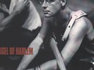 U2 Angel Of Harlem Vinyl Single 12inch Island