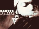 ICE CUBE - THE PREDATOR VINYL LP NEW