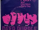 Classic Rock 45 DEEP PURPLE  Hush / One More Rainy Day w/ PICTURE SLEEVE