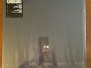 Projector Geese 2021 Vinyl LP Indie Alt-rock Post-Punk Records Cameron Winter