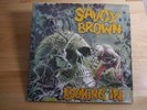 LP   SAVOY  BROWN   Looking in      Decca SKL 5066 RE Germany