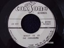 THE CONSUMATES - WHAT IS IT  (ROCKSTEADY)  45