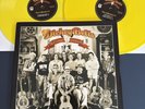DICKEY BETTS - The Collectors #1 Yellow LP Vinyl NM