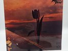 Pretty Things - Parachute - Vinyl LP (SHSP 4062)