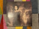 This Mortal Coil - It'll All End In Tears Vinyl Record (Great Condition)