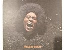 Funkadelic Maggot Brain Vinyl LP Original Press Philips VG+/VG
