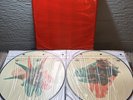 Alice In Chains - The Devil Put Dinosaurs Here Limited Edition Picture Disc