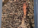 SIOUXSIE AND THE BANSHEES Juju Vinyl LP 1981  PVC 8903 Missing 7