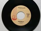 RARE Chicano Sweet Soul Funk 45 AGUABELLA image of a star / i wanna know HEAR NM
