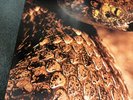 Pantera - The Great Southern Trend Kill Vinyl