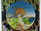 Peter Stark - Mushroom Country LP - Montage - Private Psych Folk SEALED