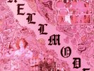 ROSENSTOCK, Jeff - Hellmode - LIMITED SPLATTERED VINYL LP