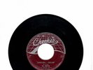 DOOWOP-EL RAYS (DELLS)-DARLING I KNOW`CHRISTINE-CHECKER 794