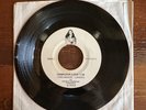 Lord Manuel Sci Fi Lover / Computer Love 45 Record 1978 Boston Underground Punk