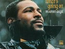 What's Going on by Gaye, Marvin (Record, 2008)