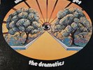 1971 THE DRAMATICS Whatcha See Is Whatcha Get Vinyl LP + 45 LP Single