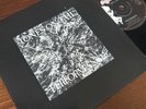 Tones On Tail Performance Shakes Beggars Banquet UK 1984 Darkwave 7