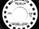 NORTHERN SOUL 45 by ANITA HUMES & THE ESSEX HEAR IT