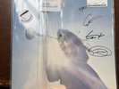 SIGNED NEW Geese Getting Killed Vinyl LP Record Album IN HAND Entire Band Signed