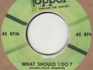 Little Ann What Should I Do (Semi-instrumental) Carver (with home made label) So