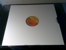 Tom Tom Club - Wordy Rappinghood - 12