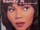 Sandy B   Make The World Go Round 1996 Champion US CHAMP 322 2x 12