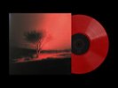SIGNED Joji - Piss in the Wind Ruby White Mist Vinyl LP PRESALE AUTOGRAPHED