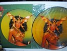 Cher, TAKE ME HOME, LP Picture Disc, Casablanca NBPIX 7133, READ NOTE