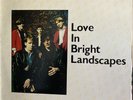 The Triffids-Love In Bright Landscapes-White Label-First Pressing Never Played