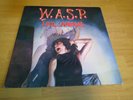 WASP 12