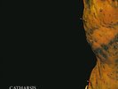 Catharsis – Light From A Dead Star I 2xLP - NEW