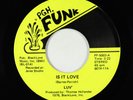 Sweet Soul/Funk 45 - Luv - Is It Love - Pgh. Funk
