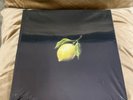 Beyonce How to Make Lemonade, Collector's Edition (Sealed) 2017 Box Set