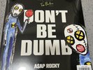 ASAP ROCKY DONT BE DUMB GROUP SIGNED 2 DISC VINYL LP In Hand