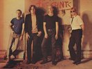 The Saints - (I'm) Stranded LP Album Vinyl Rock Punk 0091