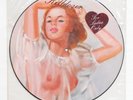 Killdozer - For Ladies Only LP PICTURE DISC 1989 US PRESSING Shellac Noise Rock