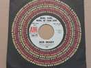 BOB BRADY More More More Of Your Love /I Stand Rejected SOUL 7