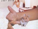 Sonic Youth - A Thousand Leaves - Vinyl Record 150g 2LP