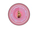 PINKPANTHERESS FANCY SOME MORE? Vinyl Blood Records-PRESALE
