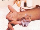Sonic Youth A Thousand Leaves (Vinyl) 12