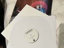 The Molotovs 2 LTD to 500 albums Wasted Youth Zoetrope #33 super / white label