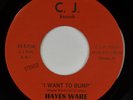 HAYES WARE: I Want To Bump C.J. US ’75 Chicago Blues Soul Funk 45 NM HEAR