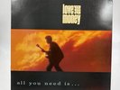 Love And Money - All You Need Is LP Vinyl Record Album VG+/VG+