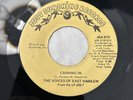The Voices Of East Harlem - Cashing In EX 7” Just Sunshine Records US RE