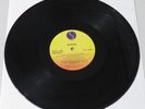 Madonna – Into The Groove / Everybody (12