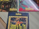 The Damned. See Emily Play, Summer in the City. Ghost in my House. Rare