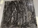 Sunn O))) Black One Vinyl 2xLP Southern Lord Gray Vinyl 2005